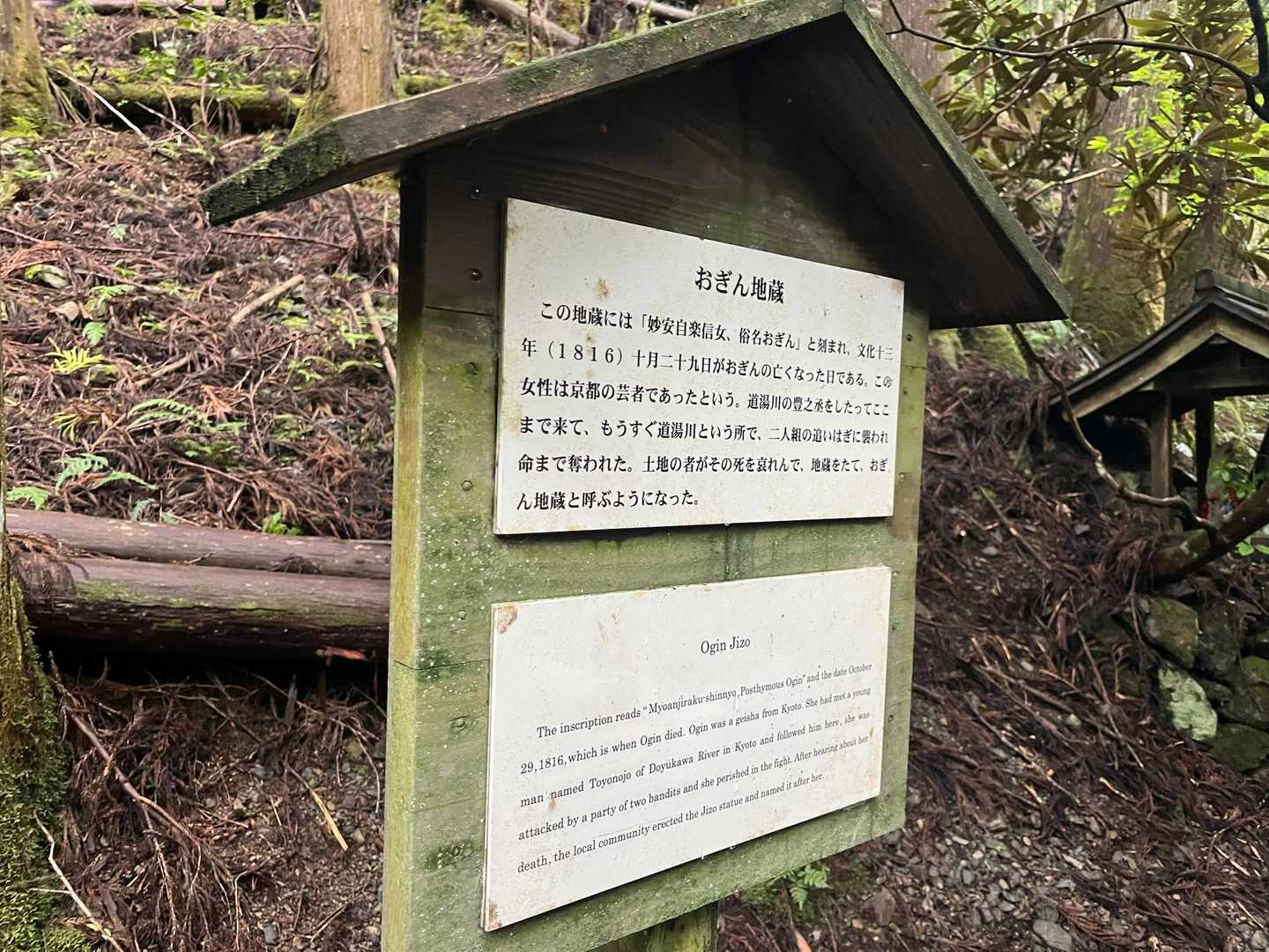滝尻王子-不寝王子-剣ノ山-高原熊野神社-大門王子-十丈峠 縦走コースの写真