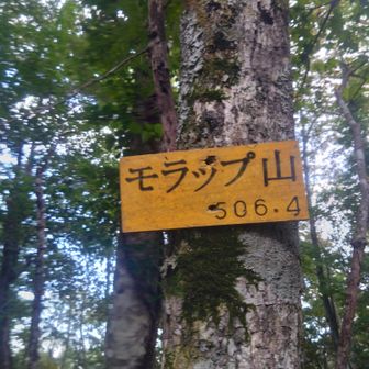 モラップ山も2回目
1回目は全く違うルートから登ってきたので、今回はとても楽でした！
