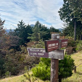 分岐🪧がいくつかあり、チェックしないと間違えてしまいそうです