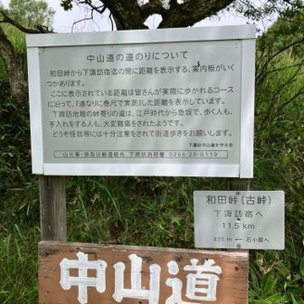 中山道【和田峠】を横切り…