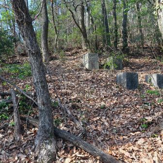 最後は琴岡山ですが、途中にコンクリート柱が何ヵ所か
トンネルの何か?支柱