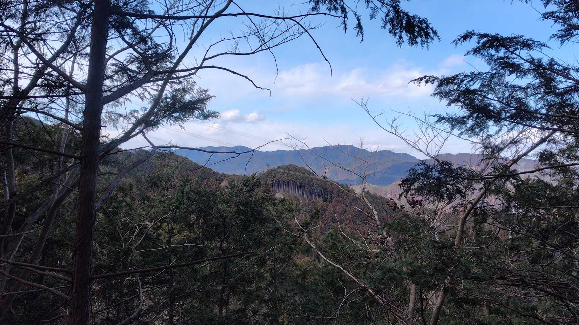 たまに展望