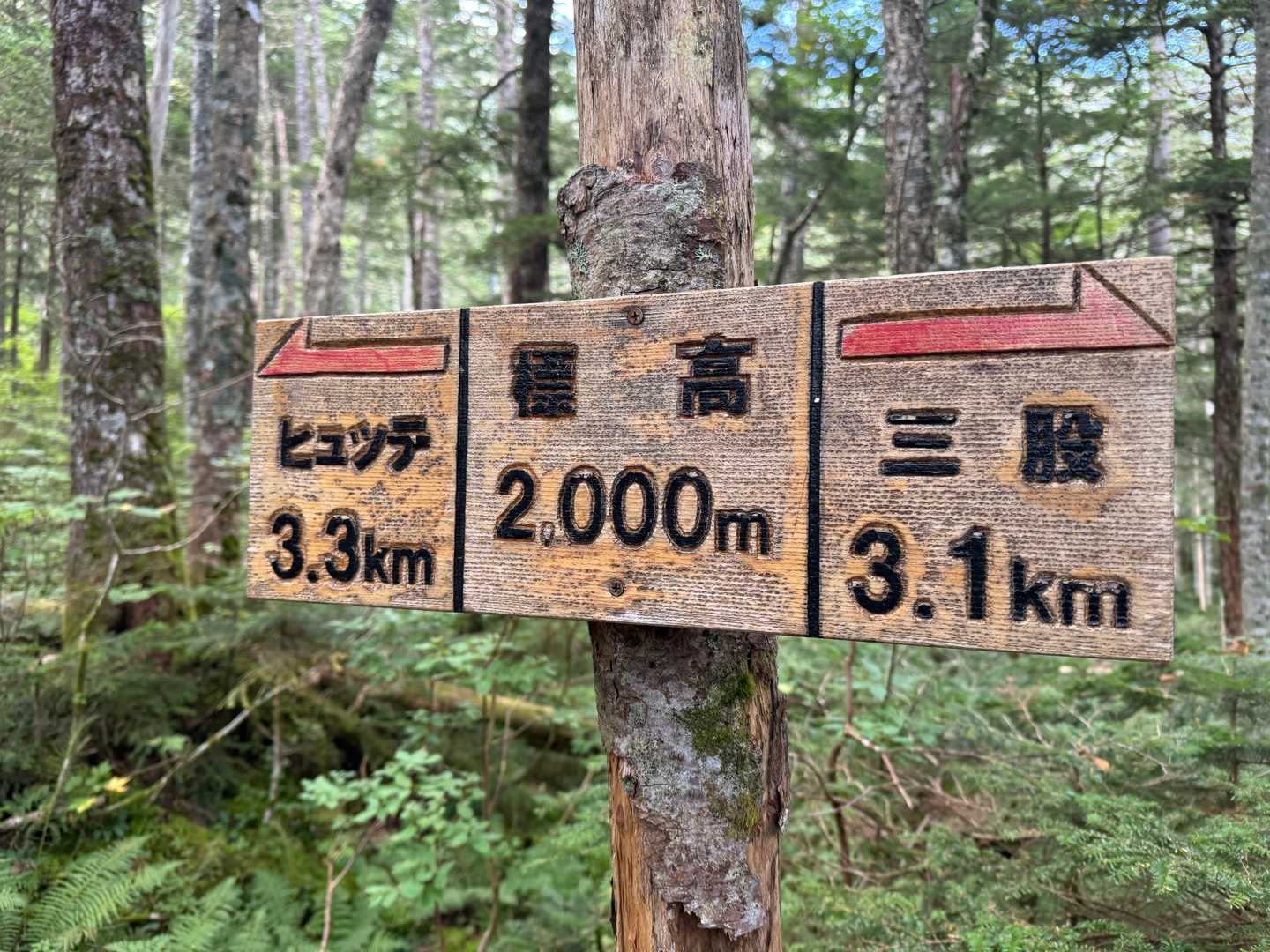 2,000M地点だ！