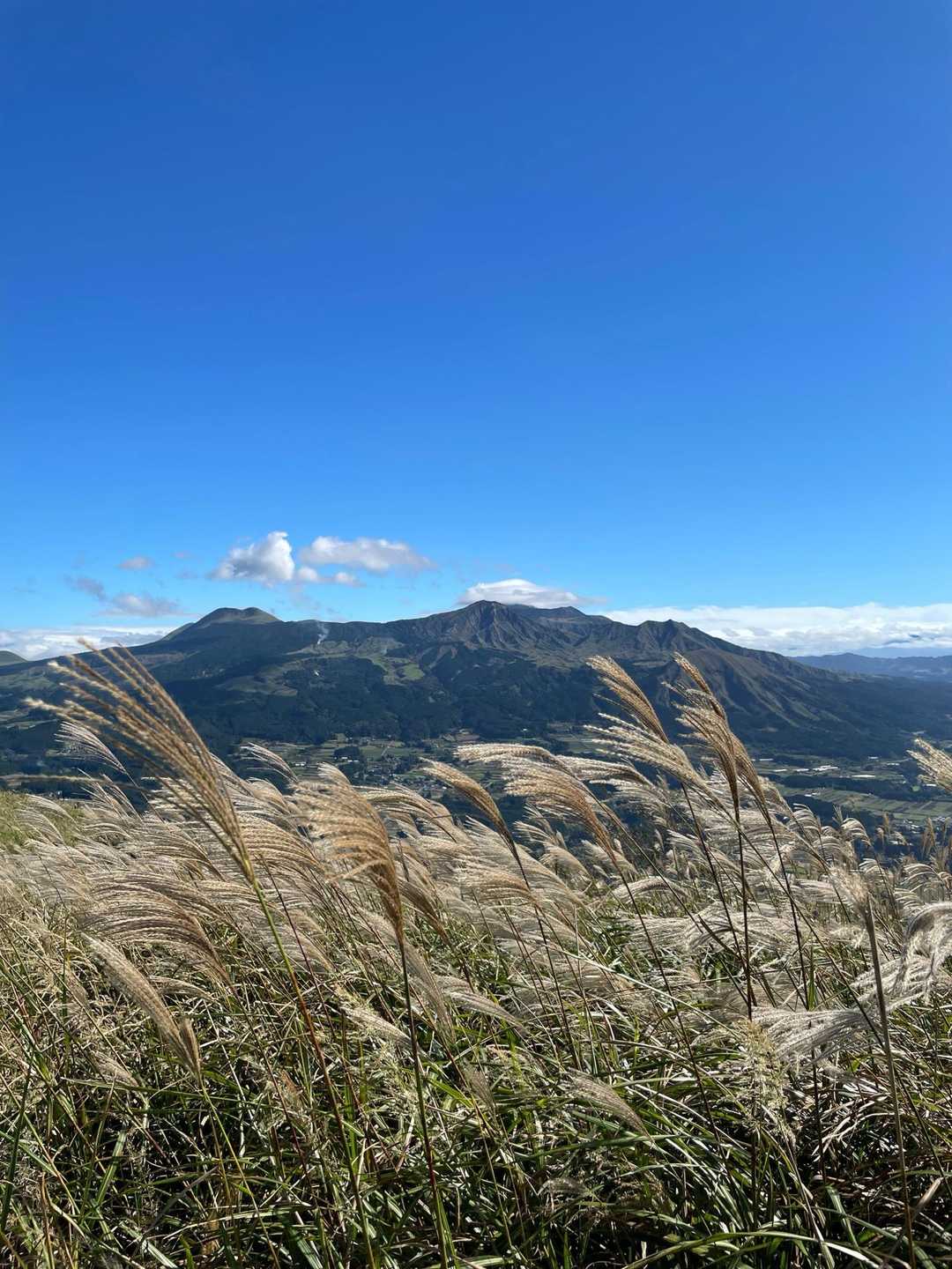 ススキと阿蘇山
表紙はこれに決定
