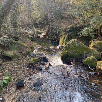 住吉方面へ下山