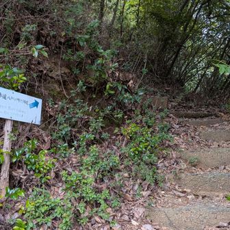 神社方面へ直行