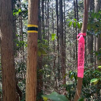 岩瀬経塚山(537m)