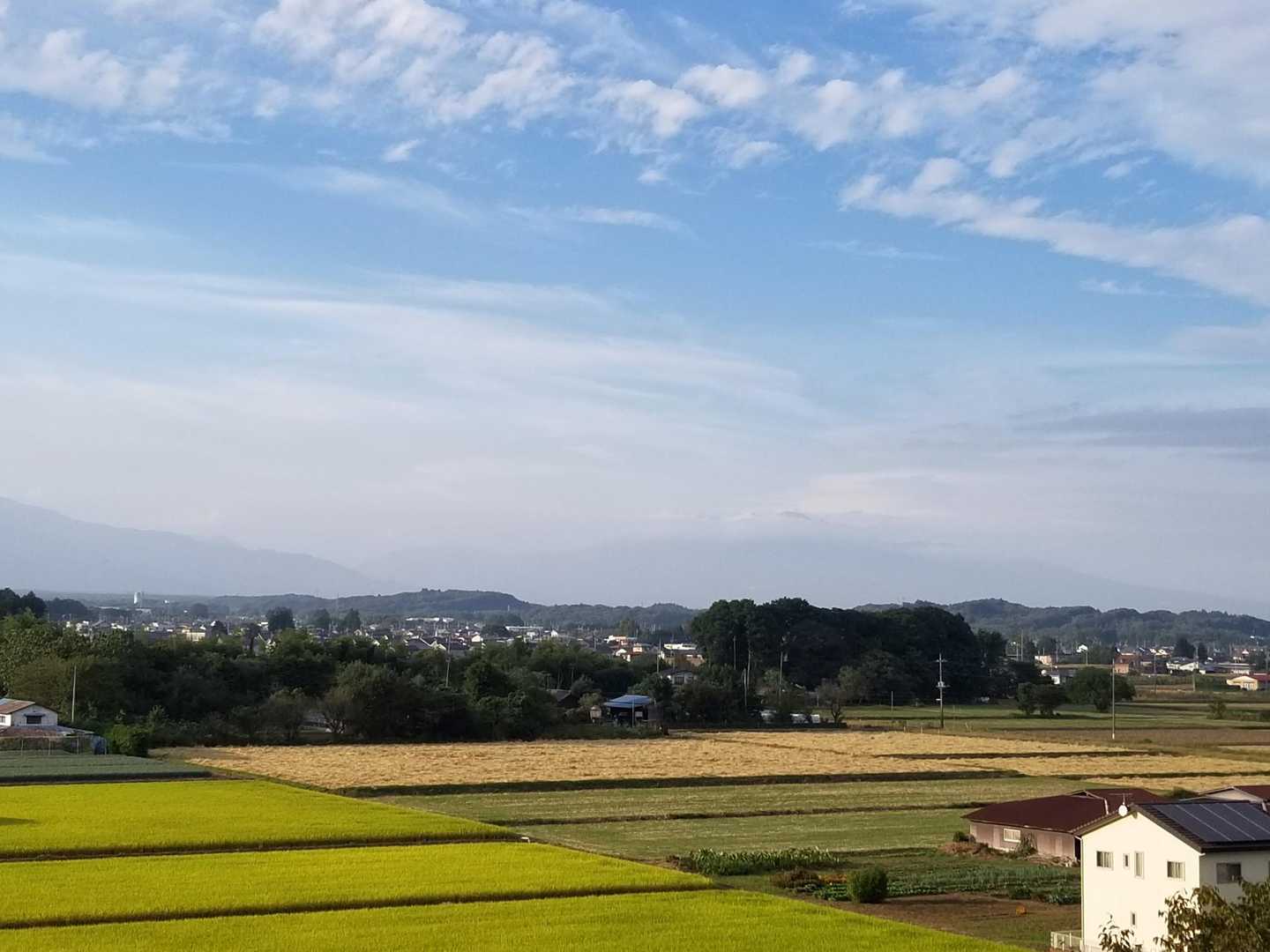 茶臼は頭だけ😅