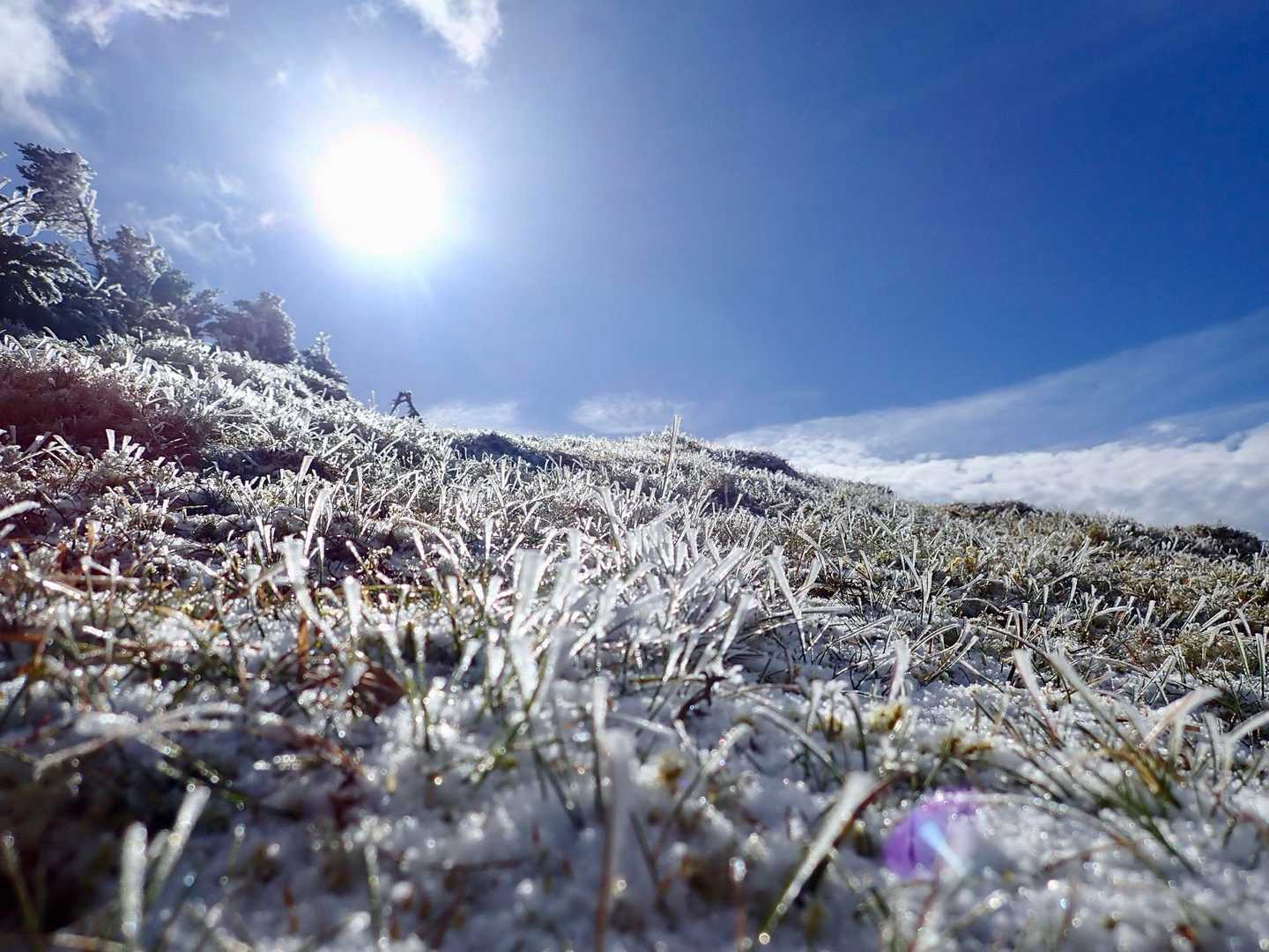 本谷山-三伏山-三伏峠-鳥倉登山口-越路バス停 縦走コースの写真