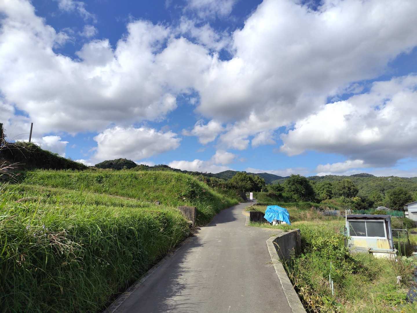 いつもの勝尾寺町石道
ホーム🏡感に落ち着きます♪
