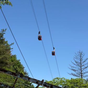 ロープウェイ🚡いいなぁ〜🤣