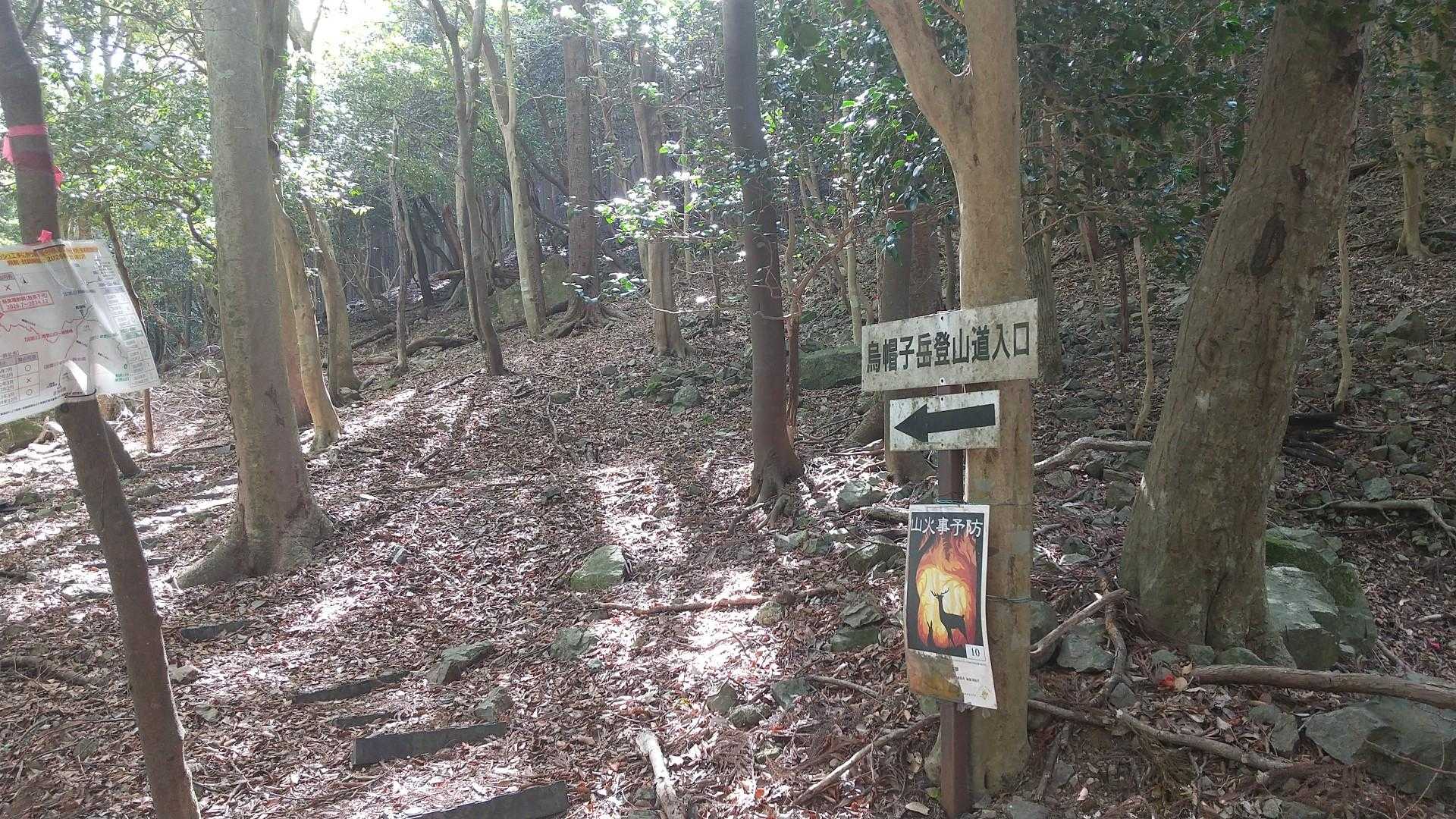 烏帽子岳 往復コースの写真