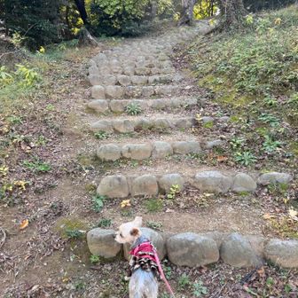 ここから登山？笑