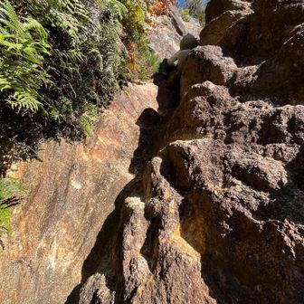 キャッスルウォールのはしっこが登れそうだってことで、登ることにしたけど、めちゃくちゃ怖いやんかー！