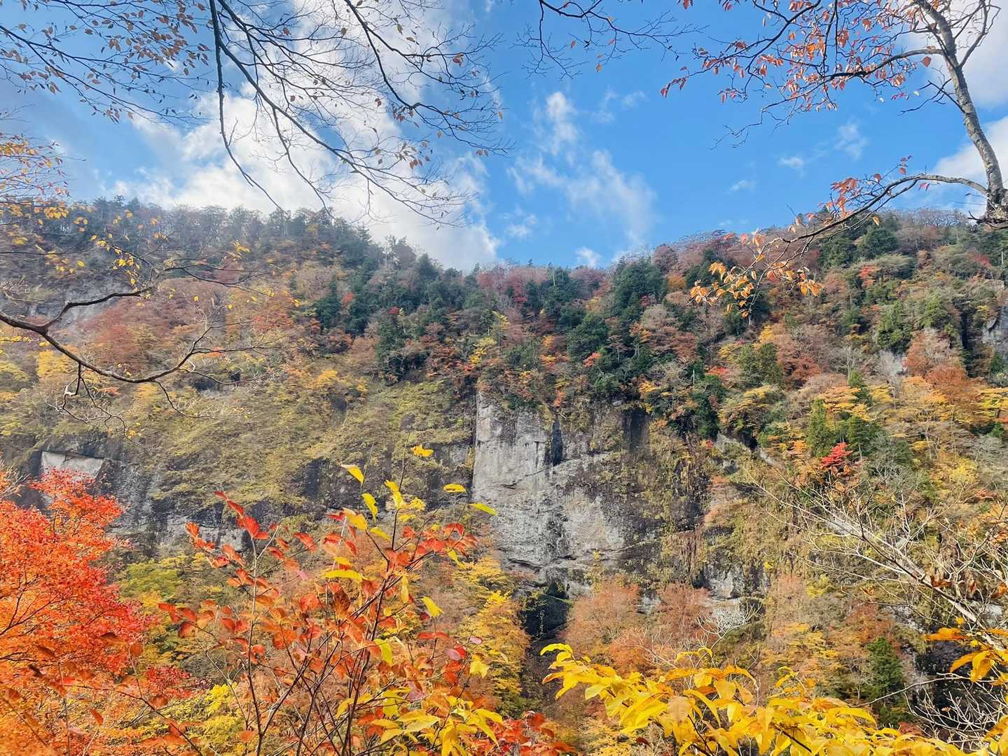 大東岳 表コース〜裏コースの写真