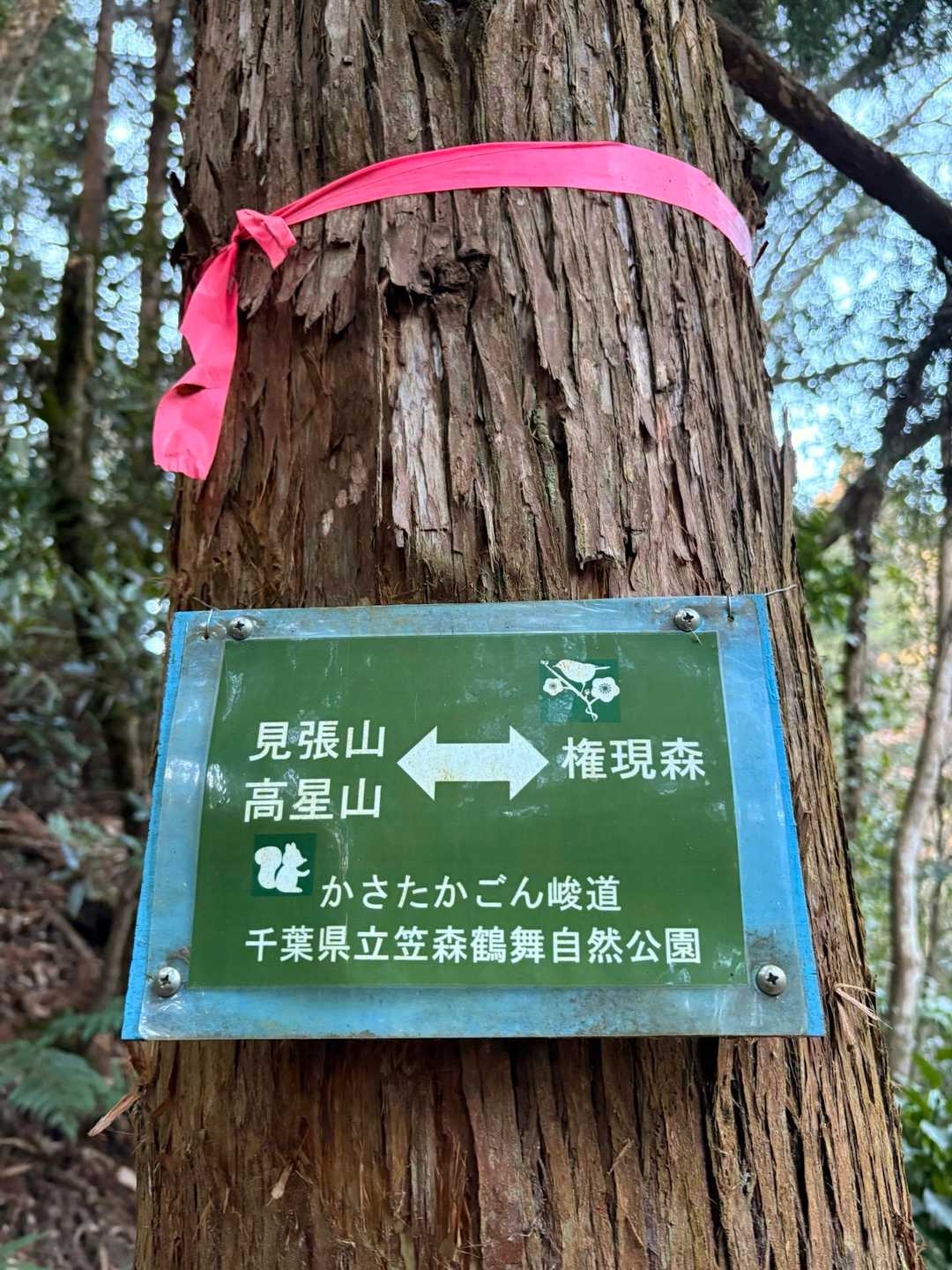 かさたかごん峻道
笠森観音~高星山~権現森、この3地点の頭2文字を取って「かさたかごん」