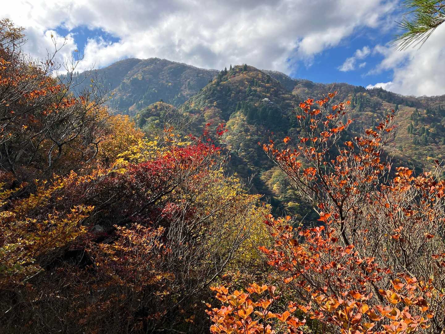 山頂からいくつかのピークを越えてきました💦　
秋🍂🍁ですねぇ〜
