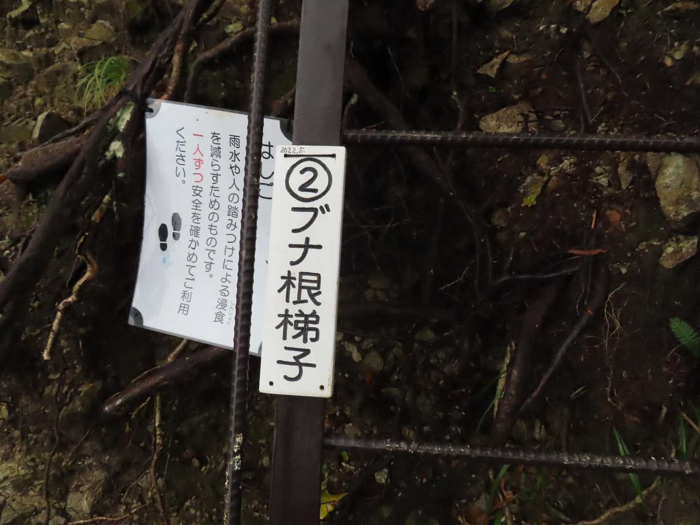 ハシゴにまで番号。
ほんと親切(笑)