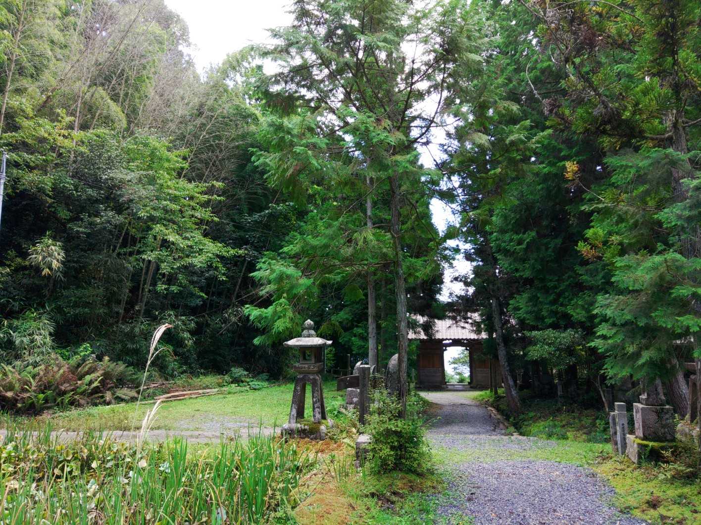 振り替えるととても静か。