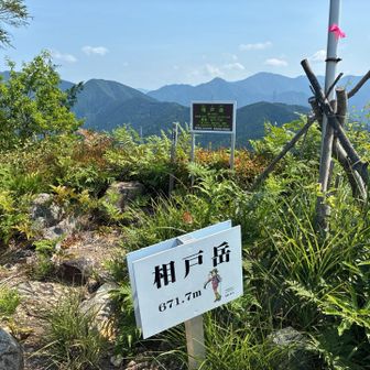 
この 時間帯
相戸岳 山頂 🔺 は 我々の 貸切り
状態 でした 👍 
と いうか この日 は 登山者 に 誰も 
会いませんでした

そして 330度 見渡せる大パノラマが
待っていました 👀 ✨
