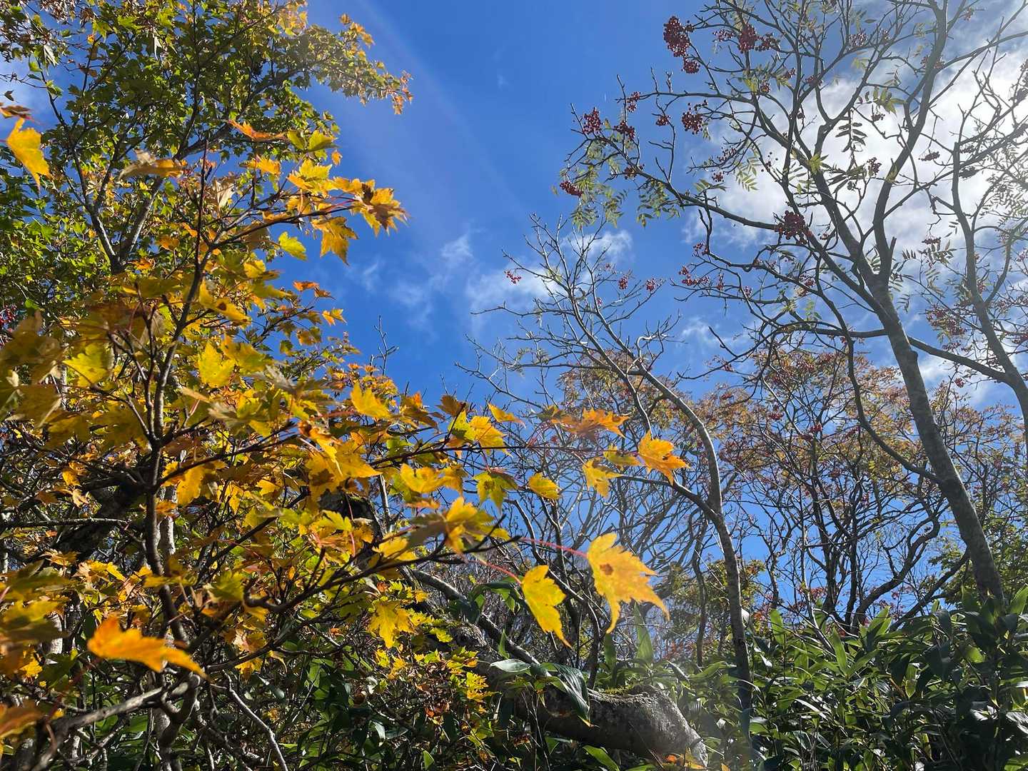 抜けるような青空