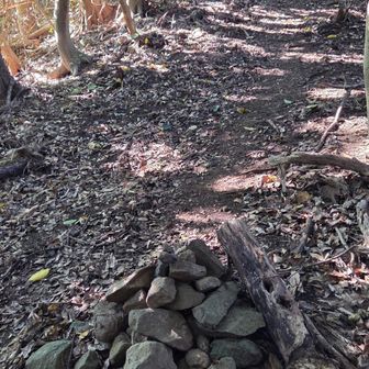 分岐に戻って将冠岳へ登ります
