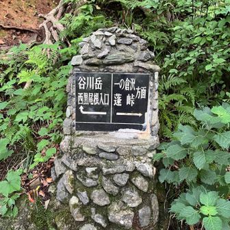 西黒尾根登山口