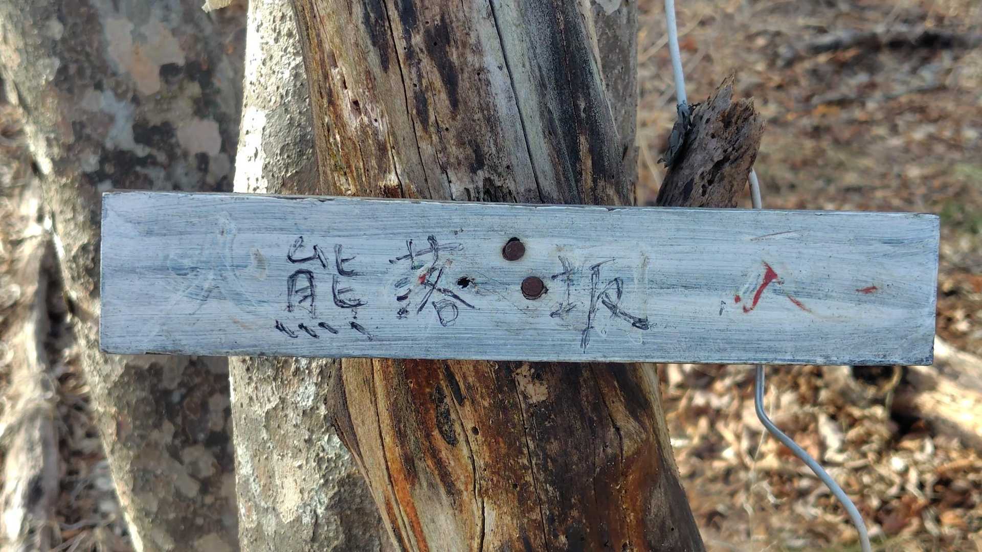 熊落坂⁉️
熊が転げ落ちるくらい急な坂なのかな😨