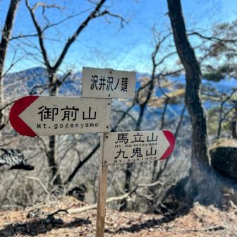 沢井沢ノ頭 山頂⛰️