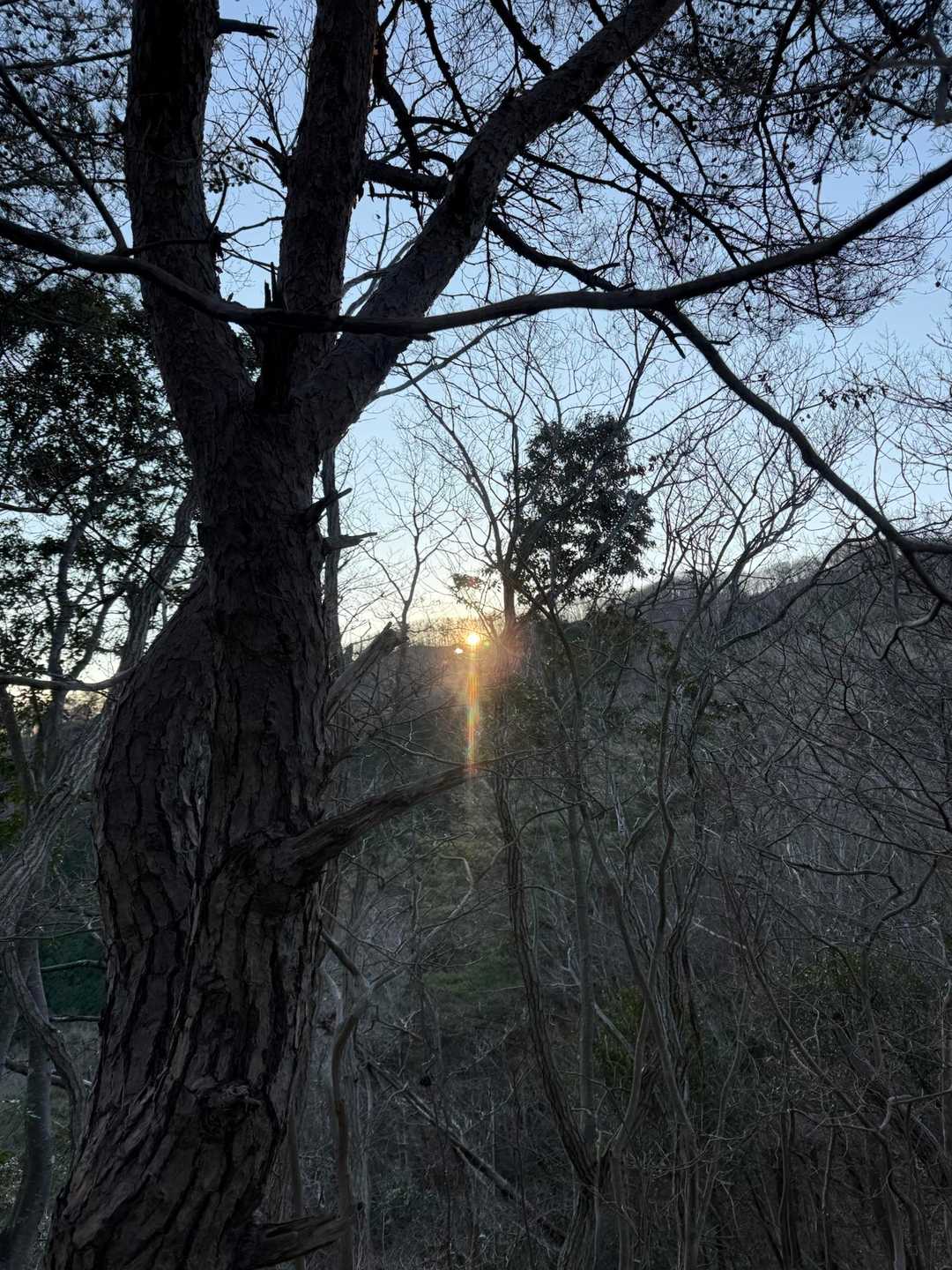 帰りは西側の尾根を歩くルートで下山
