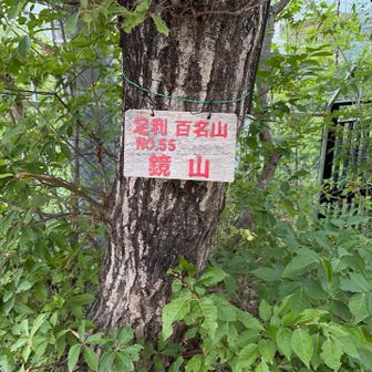 初認知の山名板😅
1座目