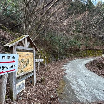 登山口
しばらく林道歩き