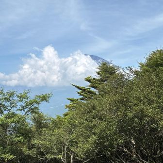 立山展望台まで行くも… 富士山は雲の中。残念。