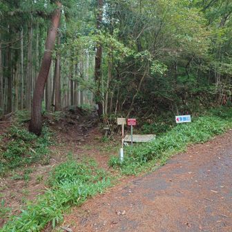 東郷山　登山口　標識　向かって左に行きます