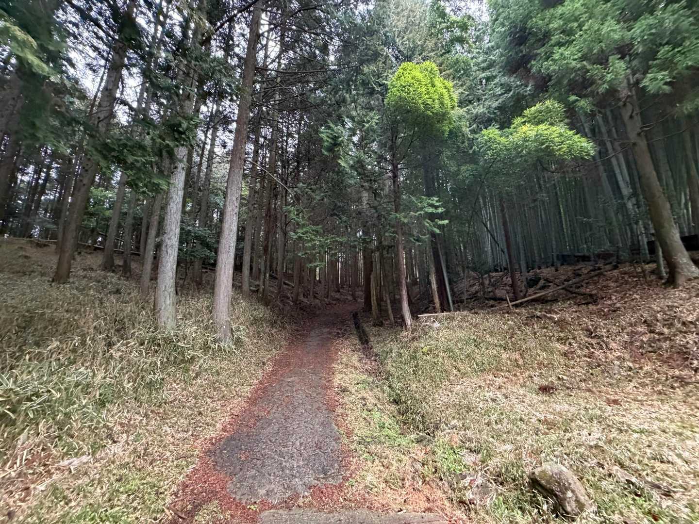 ぅわ・・・