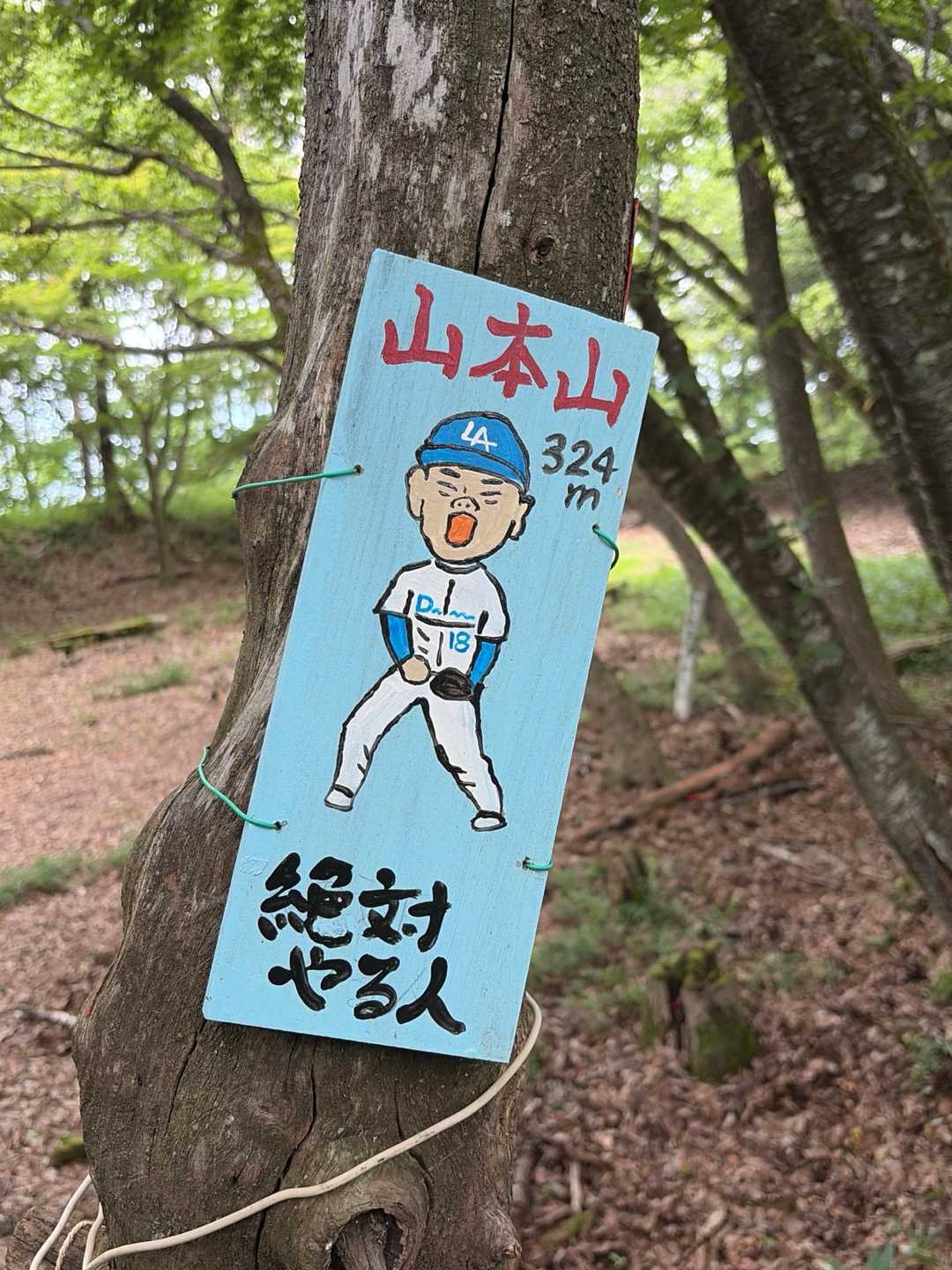 山本山山頂⛰️