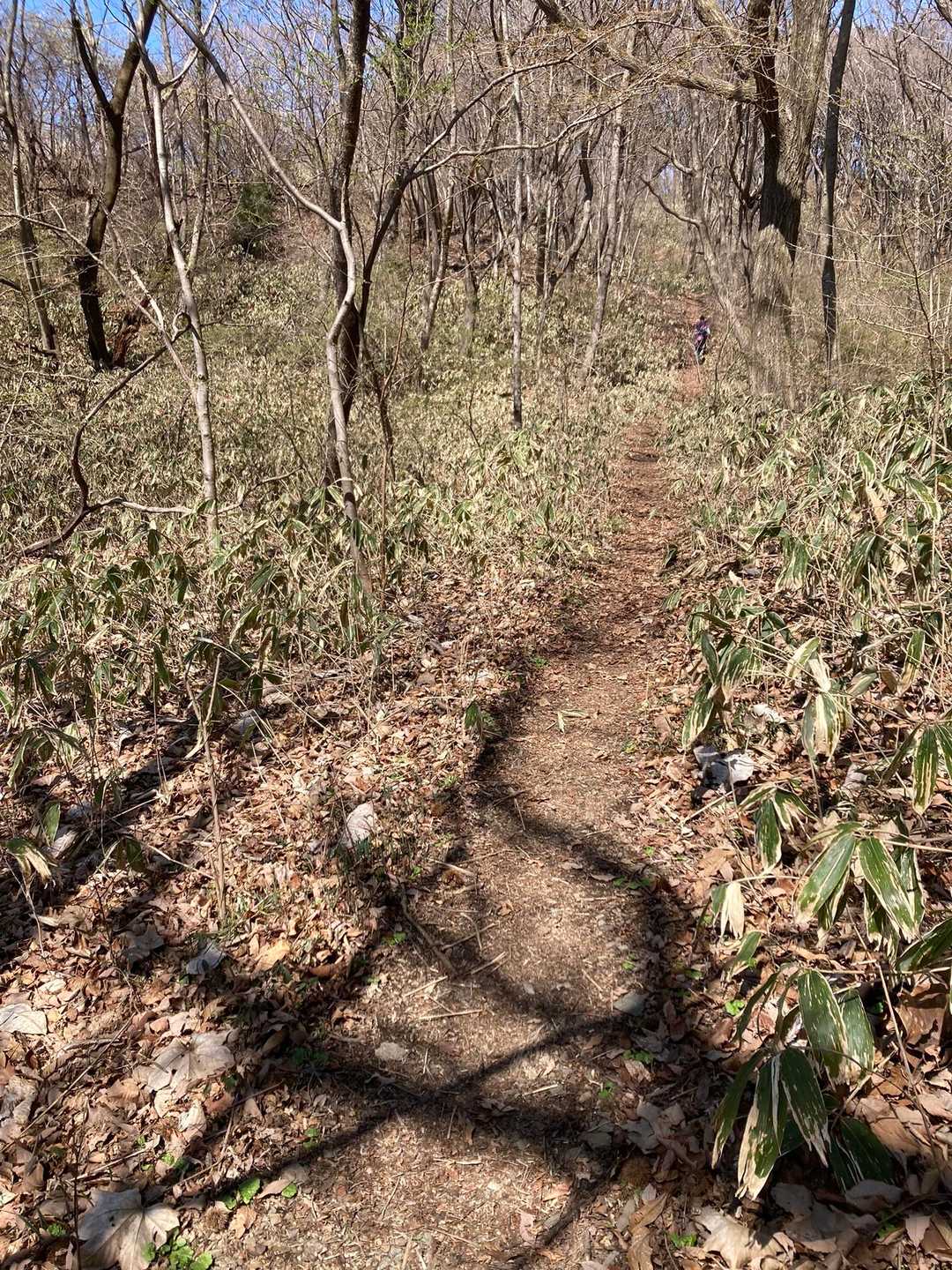 気持ち良い