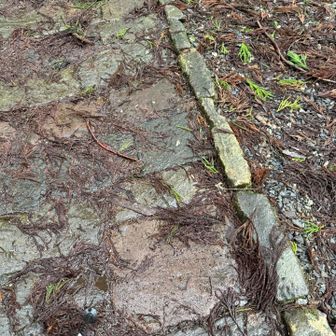 おちょこ発見。でもこの真っ直ぐ前にあるという、おちょこにお酒を注ぐは発見できず😢次回は見つけよう！