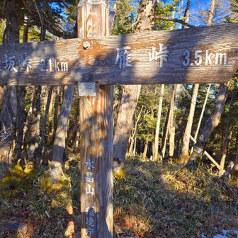 雁坂（かりさか）峠と雁（がん）峠。
ややこしい…