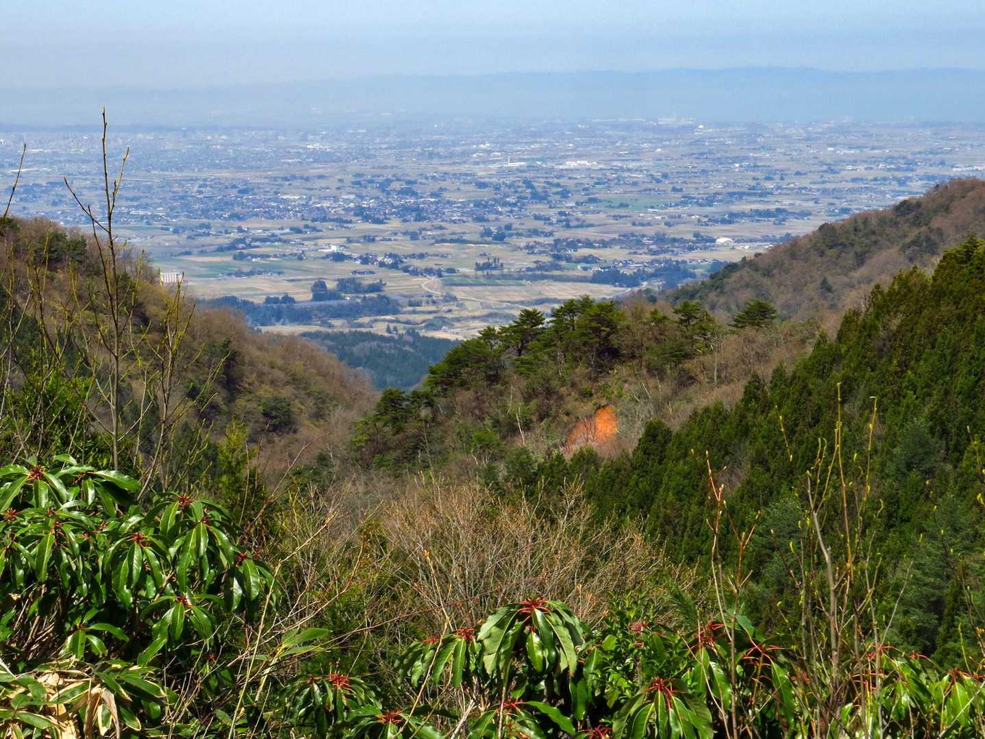 富山平野、富山湾、能登半島が見えます🌊