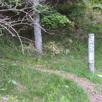 駐車場を降りて少し右のここからスタート
