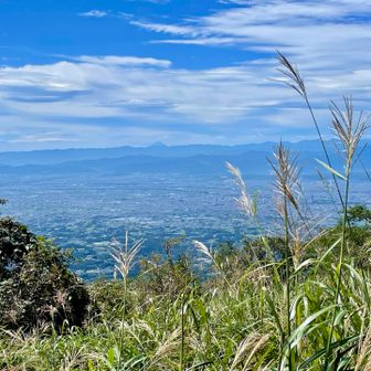 富士山もね🗻
意外とありだったかも💦
まぁ結果論だからこればかりは難しい😓