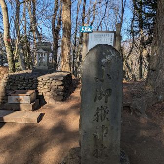 この辺りから、ロープウェイで登ってきたであろう外国人観光客の方が増えてきました。