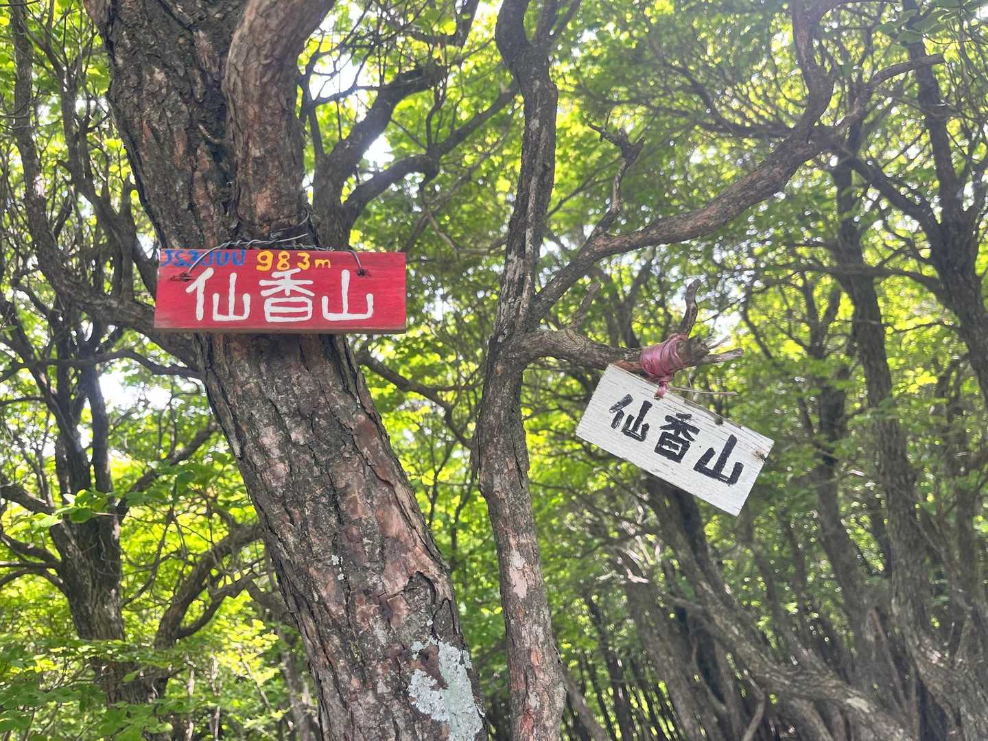 行きし
気付かなかった