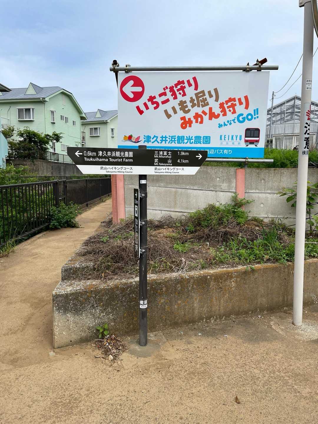 突き当たりました
左・右どちらも<武山ハイキングコース>とありますが、右は<三浦富士>を先に登るコースです☝️
私たちは<武山>を先に登るコースなので左です