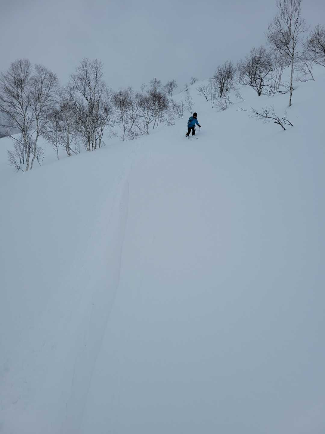 南西斜面滑るよ🎿✨