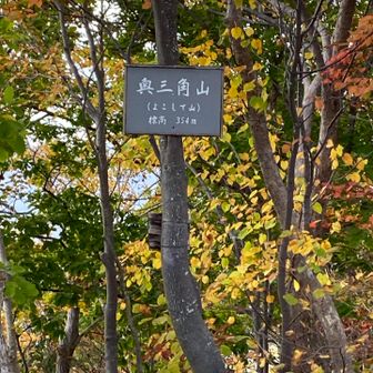 うん、整い中。