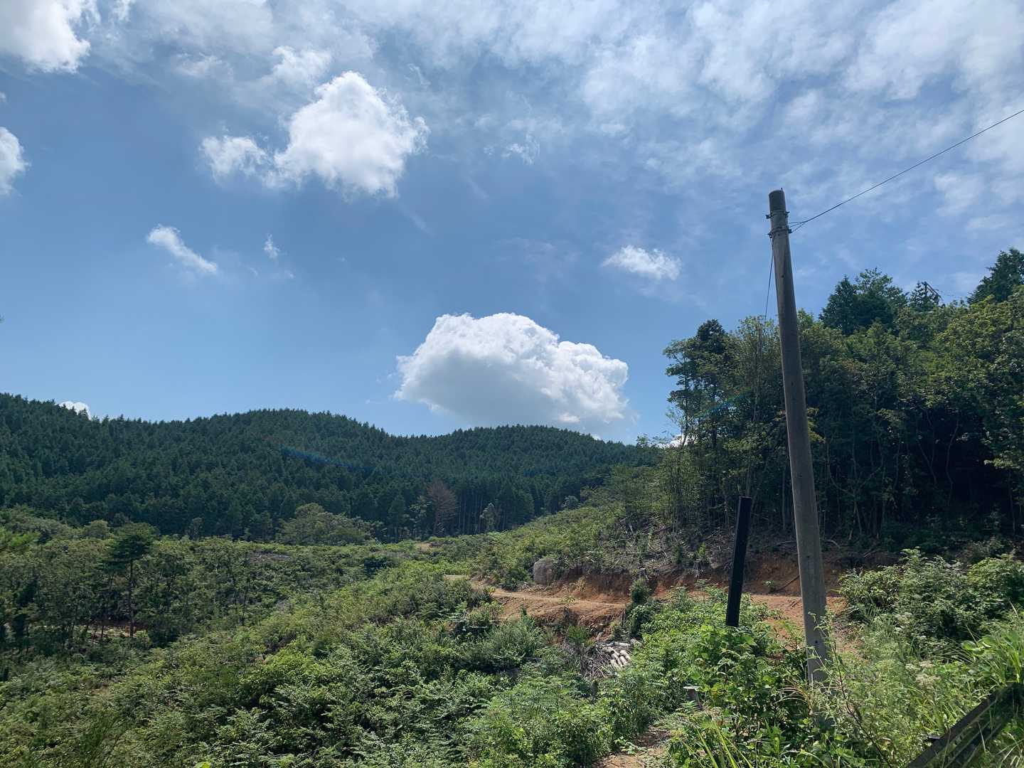途中足が止まりそうになりましたが、ゆっくりでもいいので止まらず山頂目指します⛰✨