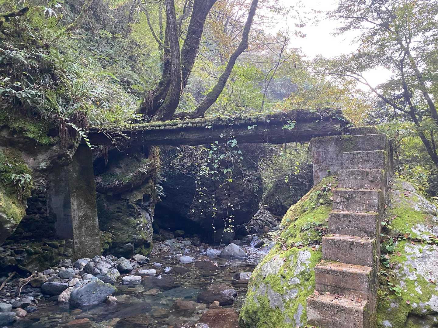 この橋は、見た目ヤバそうやったけど　全然大丈夫👌
もちろん　西さんに先に行ってもらい😂