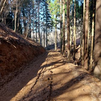キャタピラ跡、ぬかるみエグチ